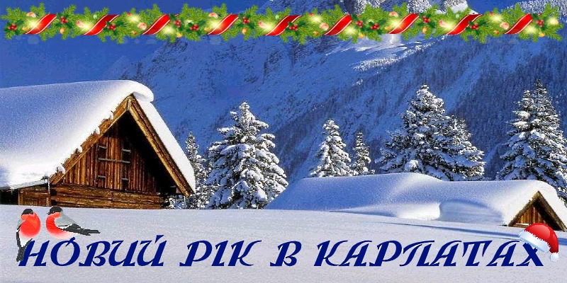 Тур В Карпаты На Новый Год
